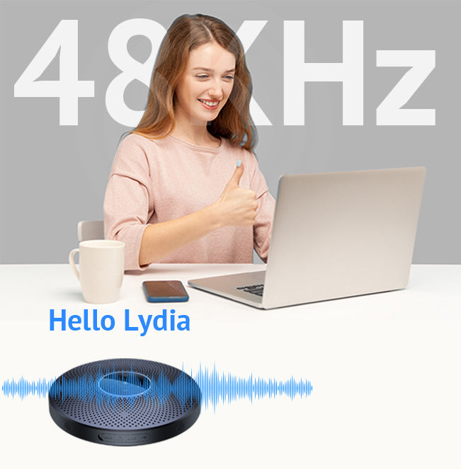 Professional Voice Pick-up Conference speaker